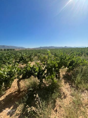 Area Edificabile in vendita in Ubeda, Pinoso - 222.000 € (Rif: 10062441)