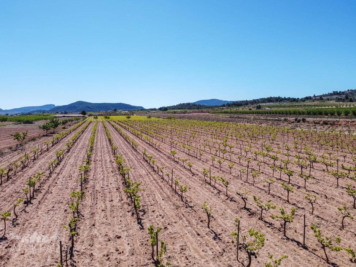Bouwgrond te koop in Ubeda - € 222.000 (Ref: 10062441)