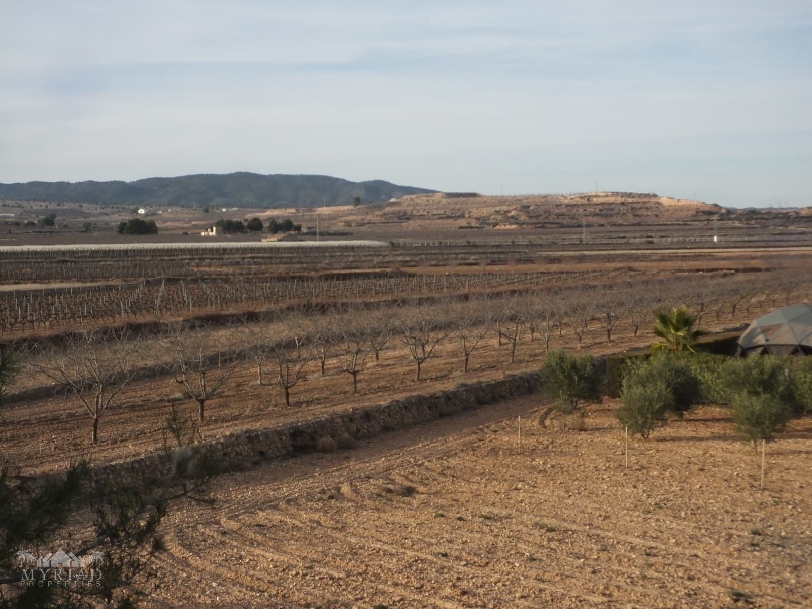 3 soveværelse Finca/Landehus til salg i Pinoso - € 129.000 (Ref: 10062459)