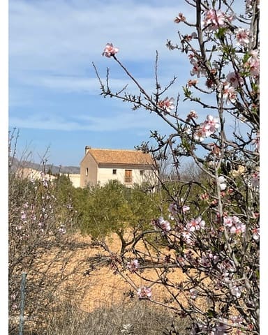 5 soveværelse Finca/Landehus til salg i Casas de Ibañez, Pinoso med swimmingpool garage - € 359.995 (Ref: 10062462)