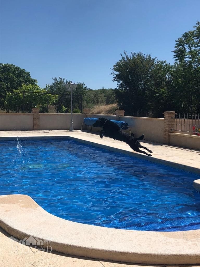 5 Zimmer Finca/Landgut zu verkaufen in Casas de Ibanez mit Pool Garage - 359.995 € (Ref: 10062462)