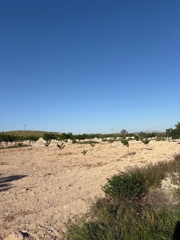 6 quarto Quinta/Casa Rural para venda em Jumilla com garagem - 95 000 € (Ref: 10062463)