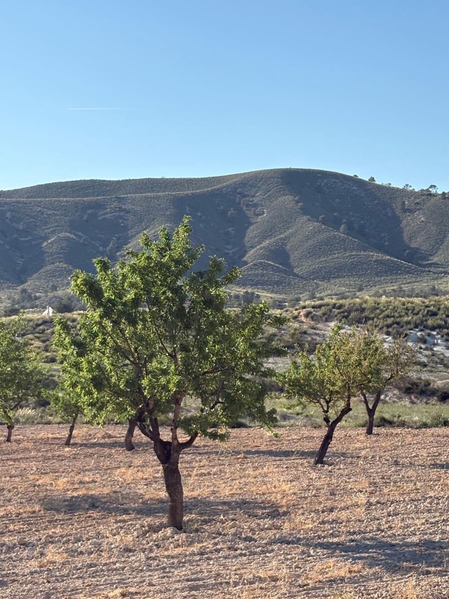 6 quarto Quinta/Casa Rural para venda em Jumilla com garagem - 95 000 € (Ref: 10062463)