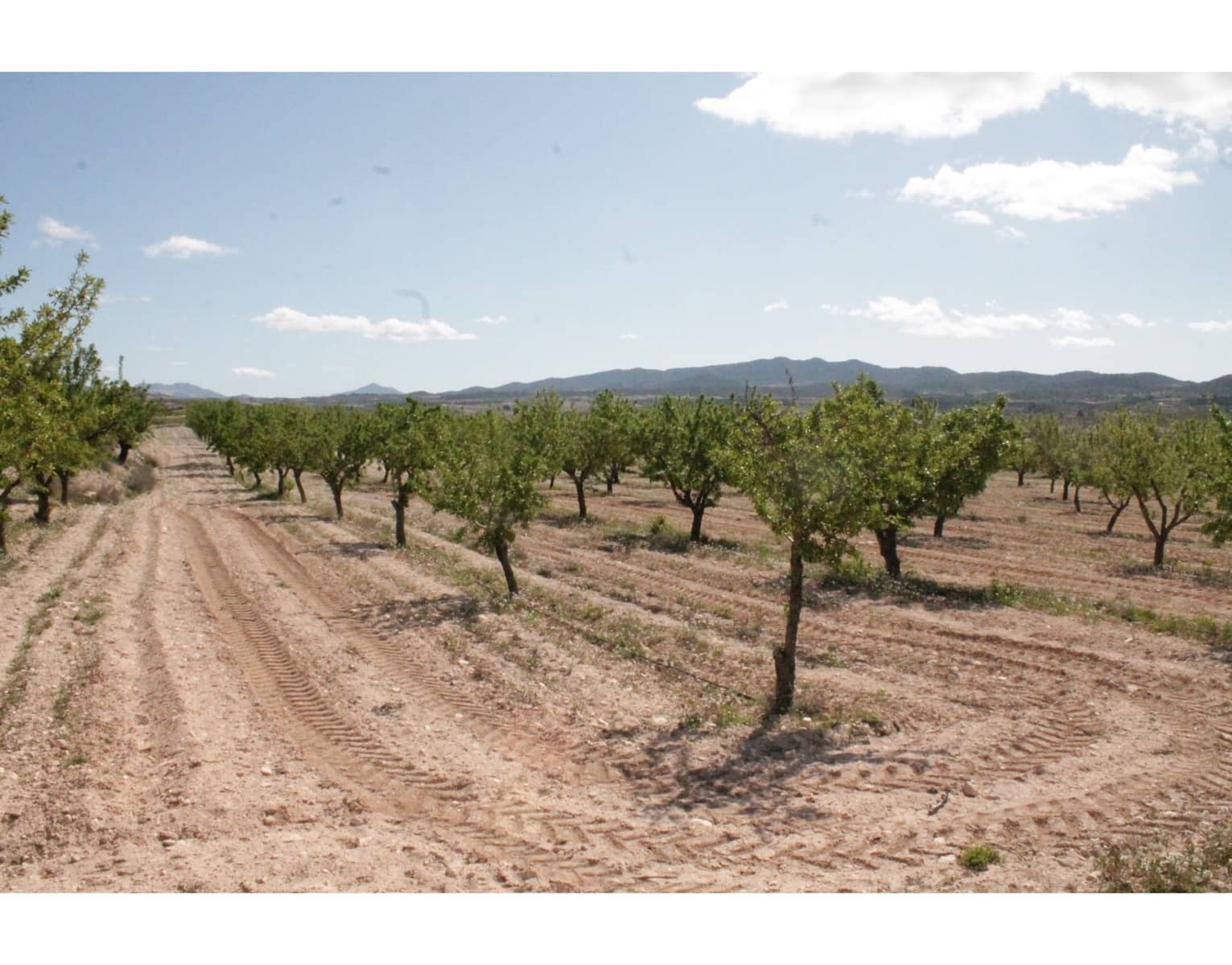 6 quarto Quinta/Casa Rural para venda em Jumilla com garagem - 95 000 € (Ref: 10062463)