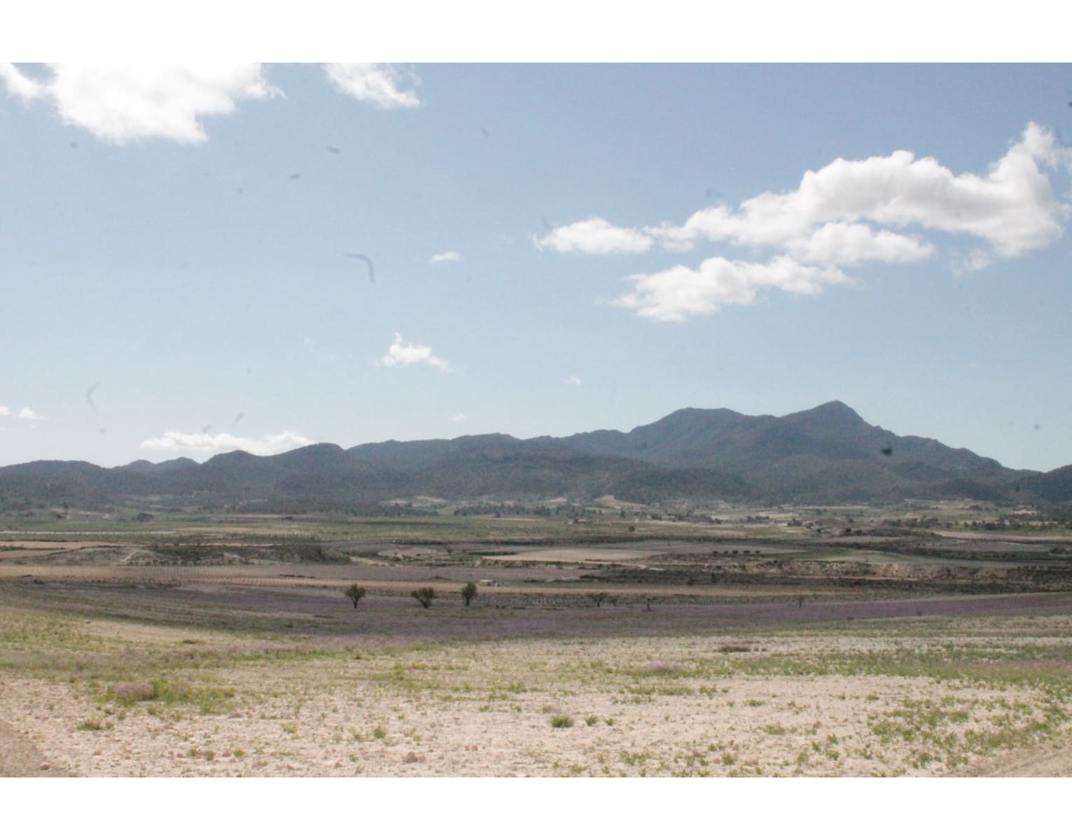 6 quarto Quinta/Casa Rural para venda em Jumilla com garagem - 95 000 € (Ref: 10062463)