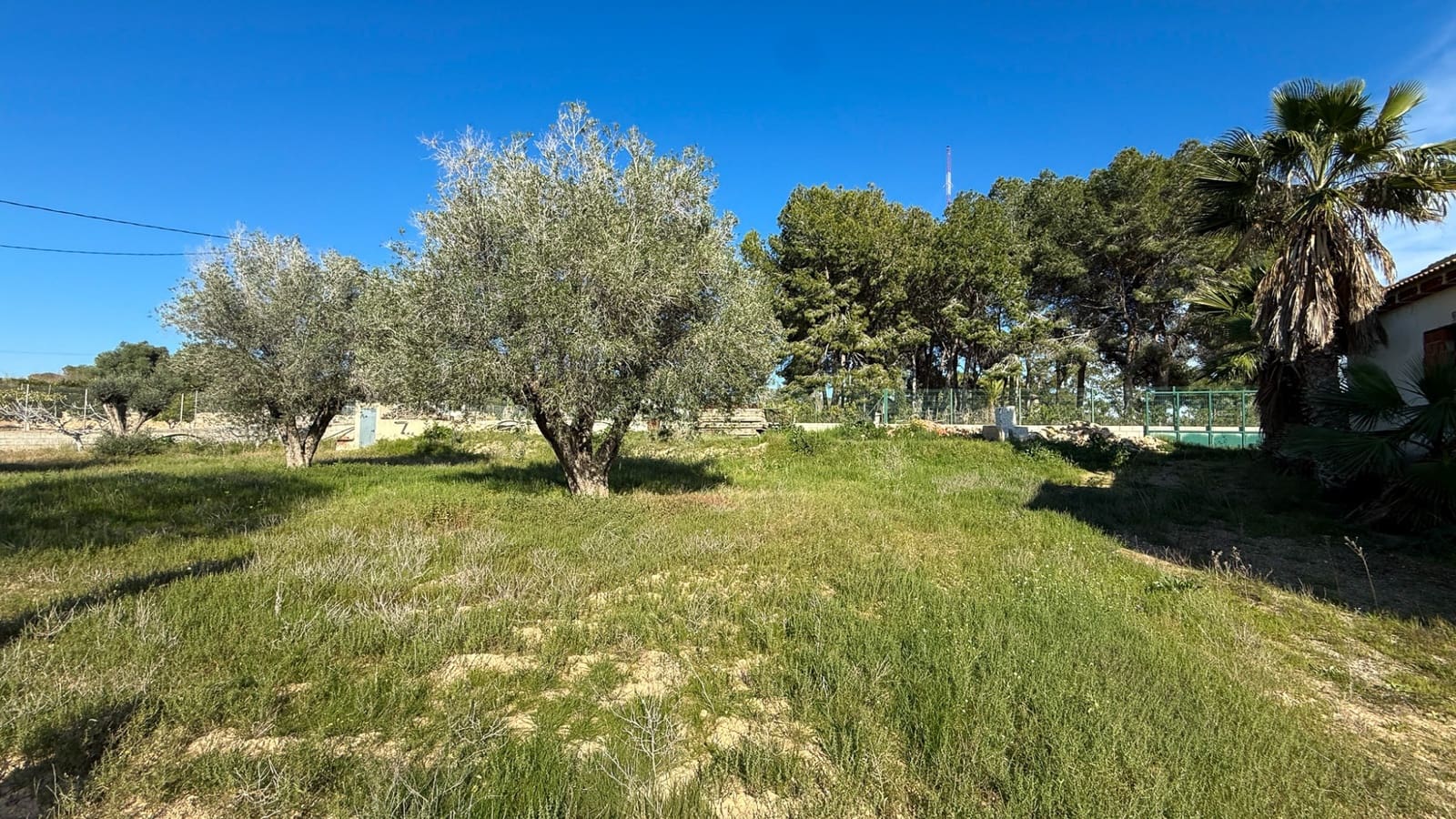 8 quarto Quinta/Casa Rural para venda em Guardamar del Segura - 490 000 € (Ref: 10077606)