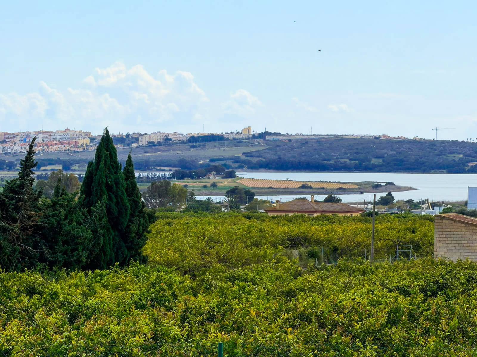 8 quarto Quinta/Casa Rural para venda em Guardamar del Segura - 490 000 € (Ref: 10077606)