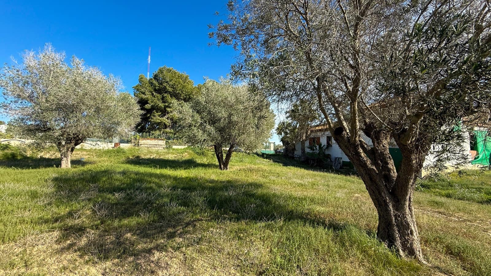 8 quarto Quinta/Casa Rural para venda em Guardamar del Segura - 490 000 € (Ref: 10077606)