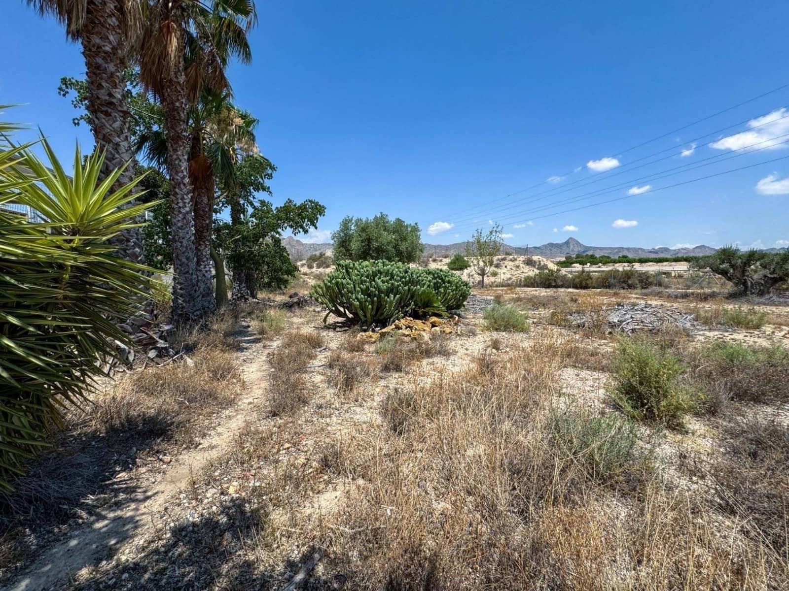 3 camera da letto Finca/Casa di Campagna in vendita in Orihuela con piscina - 350.000 € (Rif: 10088452)