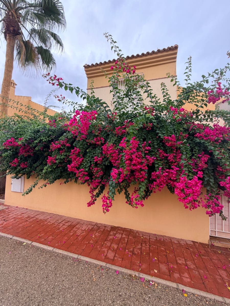 3 soverom Villa til leie i Ciudad Quesada med svømmebasseng - € 1 300 (Ref: 10091383)