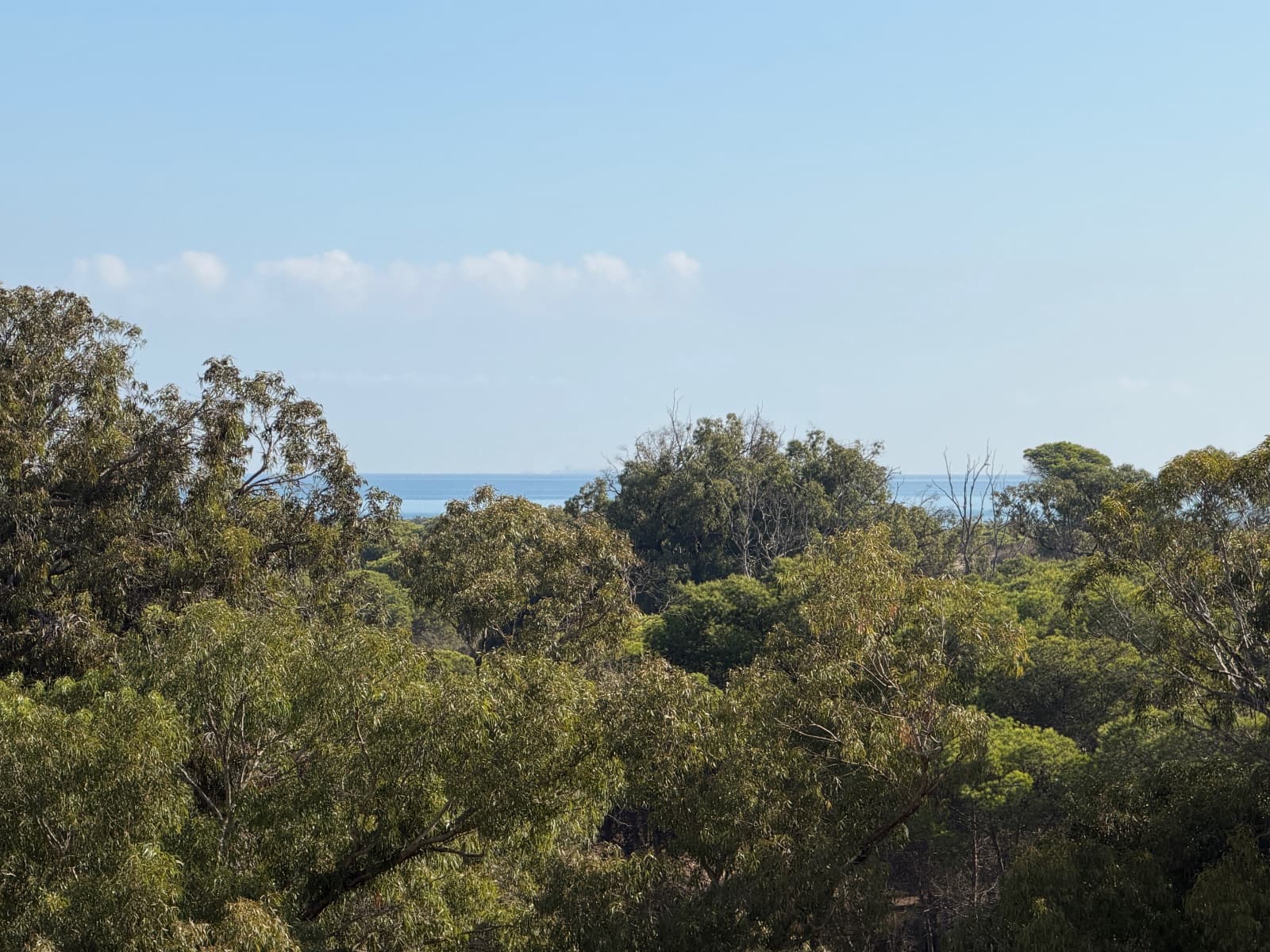 2 soverom Strandleiligheter til salgs i Guardamar del Segura med svømmebasseng garasje - € 195 000 (Ref: 10160973)