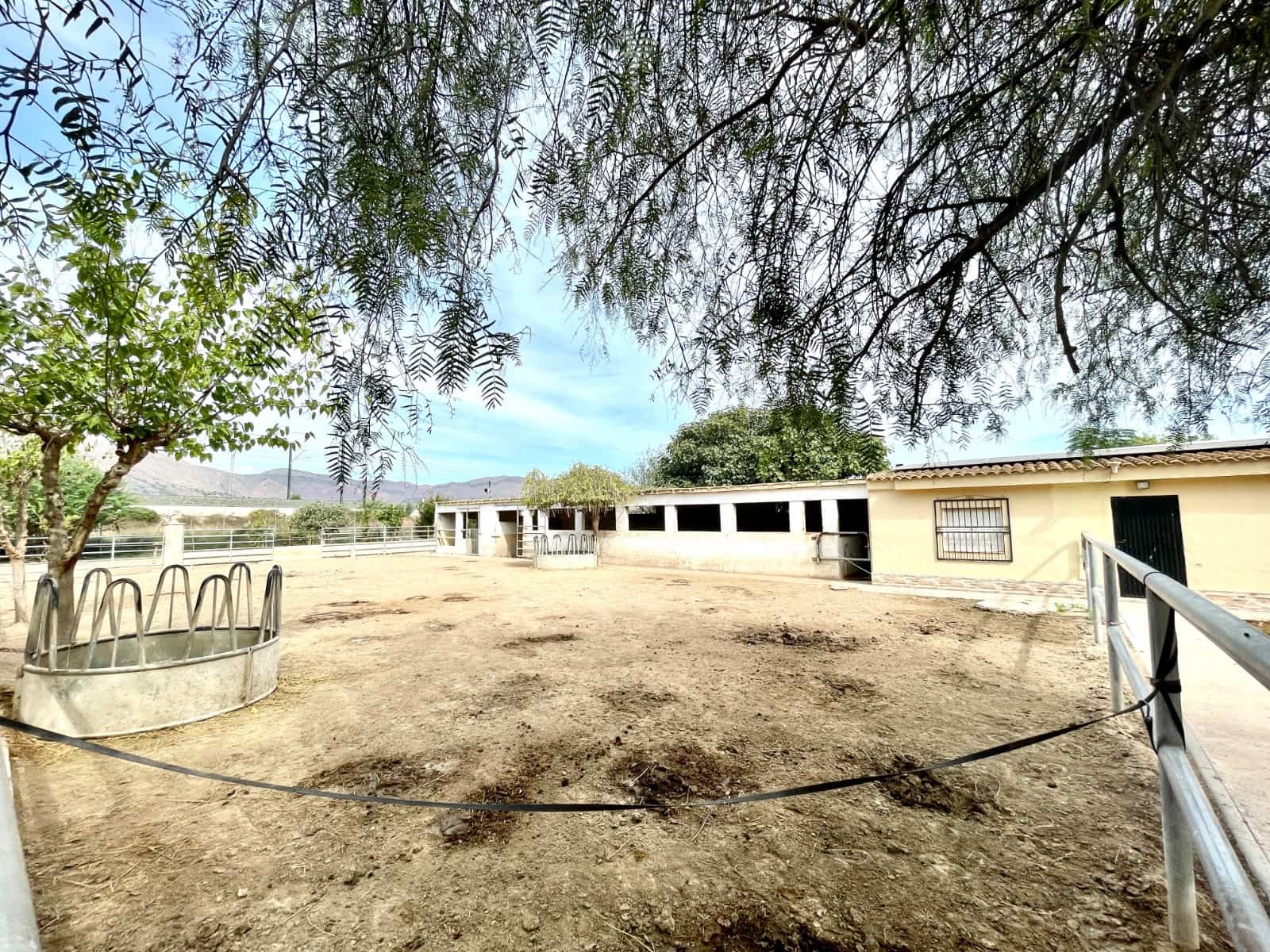 3 soverom Finca/Herregård til salgs i Orihuela med svømmebasseng garasje - € 423 000 (Ref: 10163679)