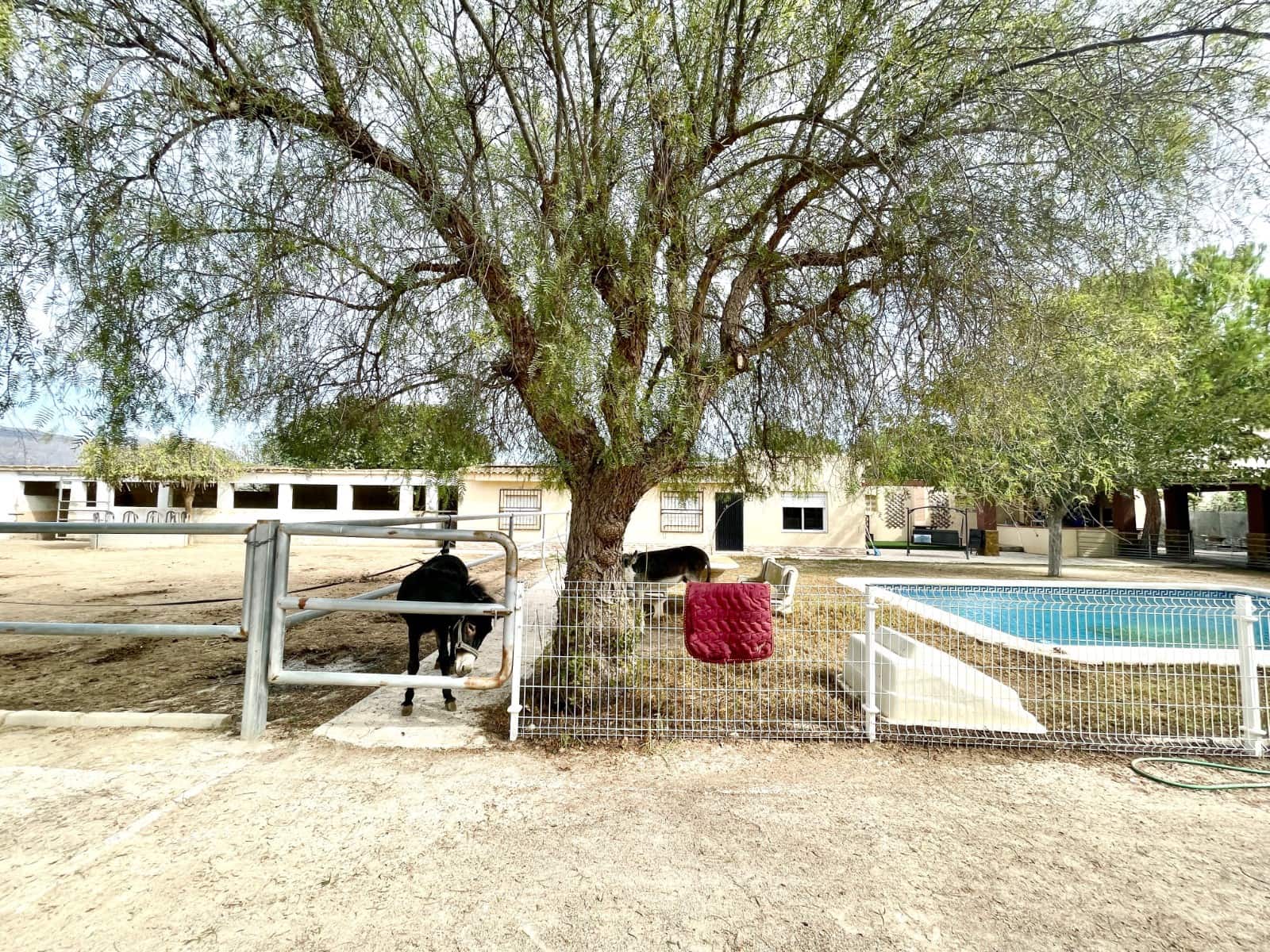 3 soverom Finca/Herregård til salgs i Orihuela med svømmebasseng garasje - € 423 000 (Ref: 10163679)