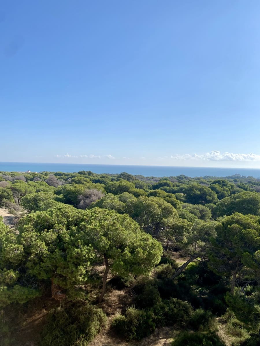 2 camera da letto Attico in vendita in Guardamar del Segura con garage - 555.000 € (Rif: 10168313)