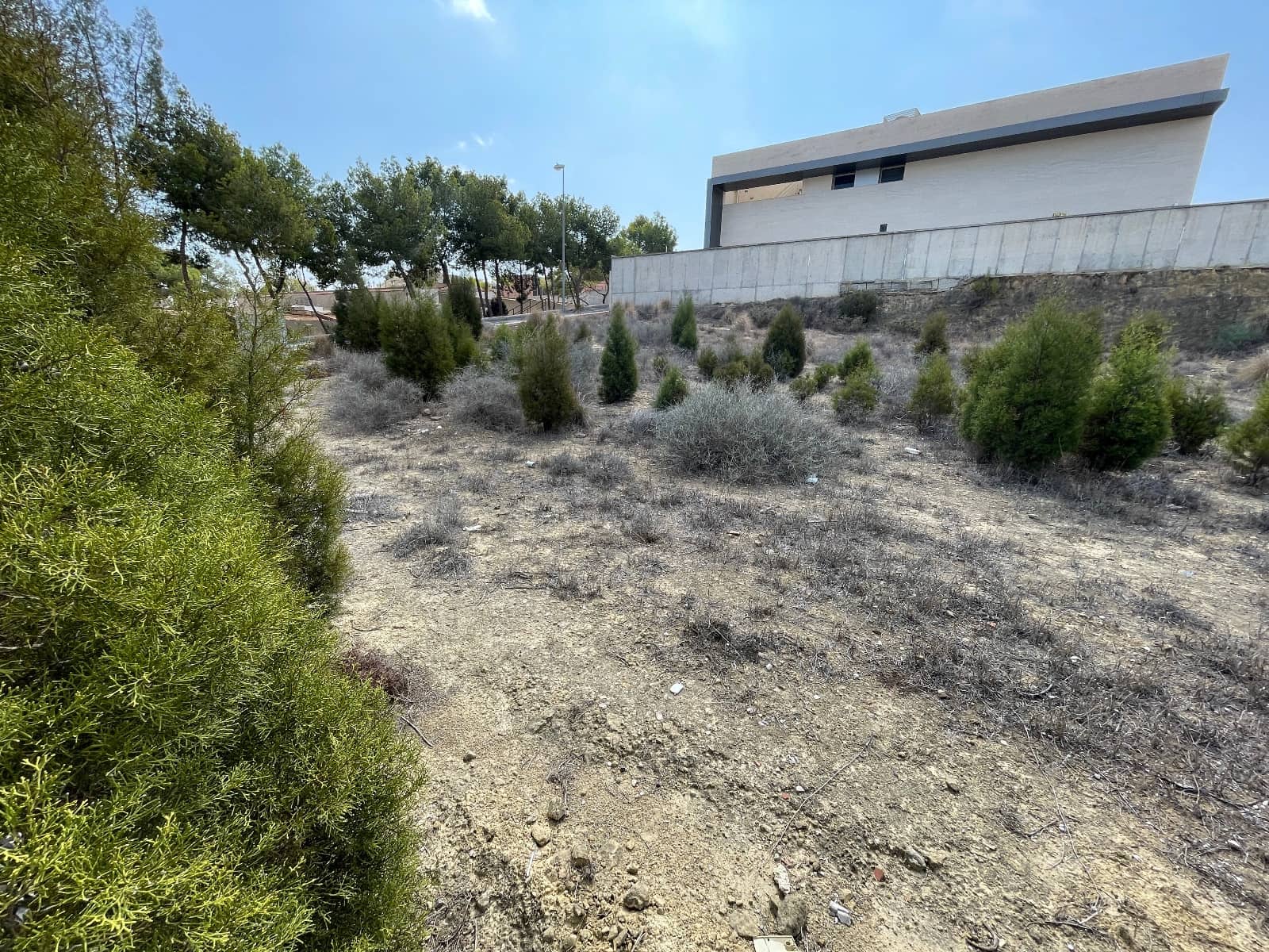 Byggegrund til salg i Rojales - € 330.000 (Ref: 8484087)