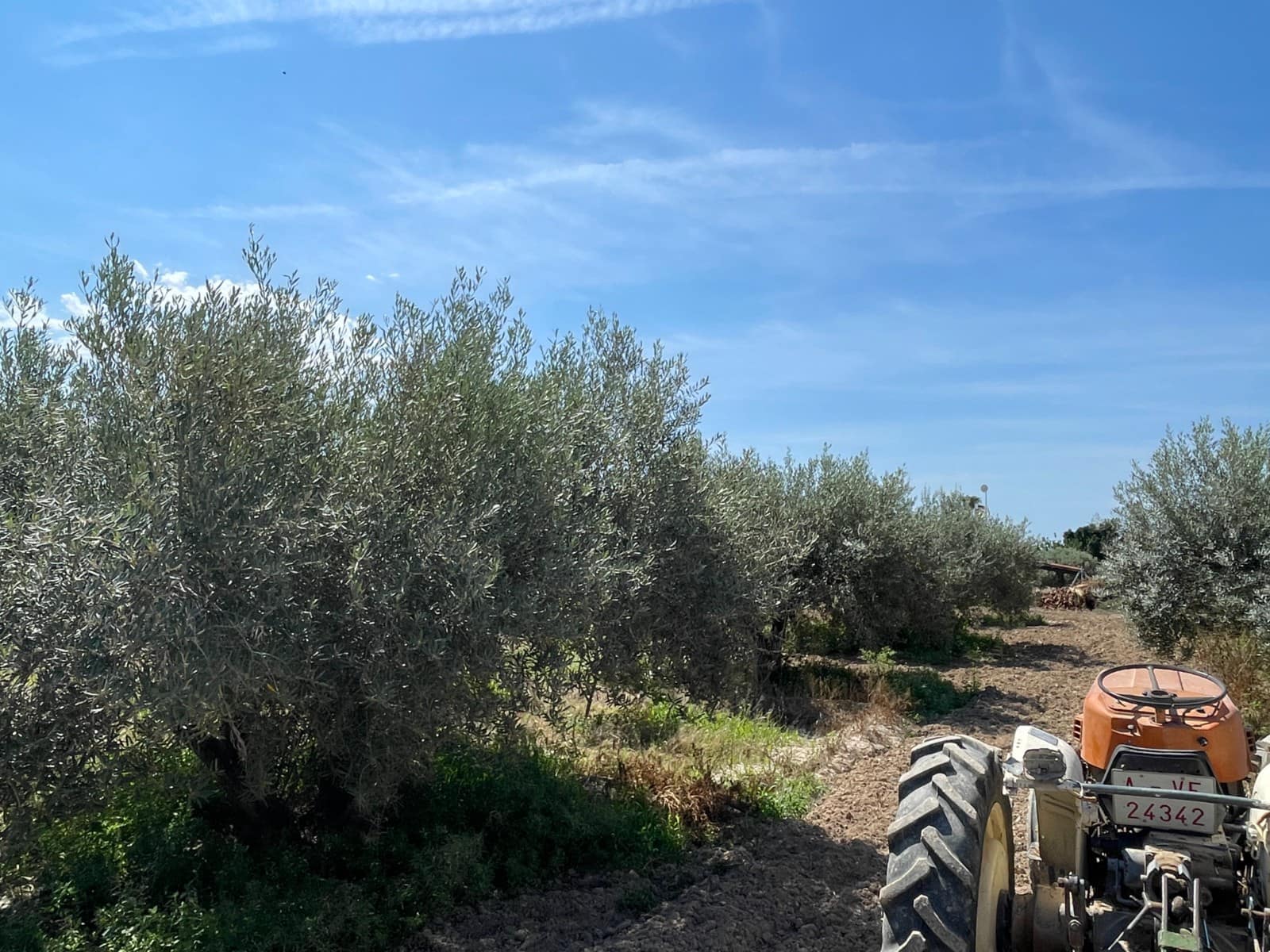 4 quarto Moradia para venda em Crevillente / Crevillent com piscina - 265 000 € (Ref: 9015506)