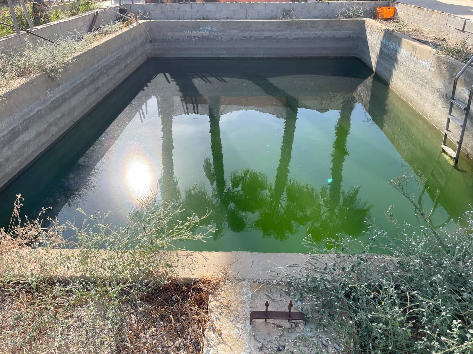 4 quarto Moradia para venda em Crevillente / Crevillent com piscina - 265 000 € (Ref: 9015506)