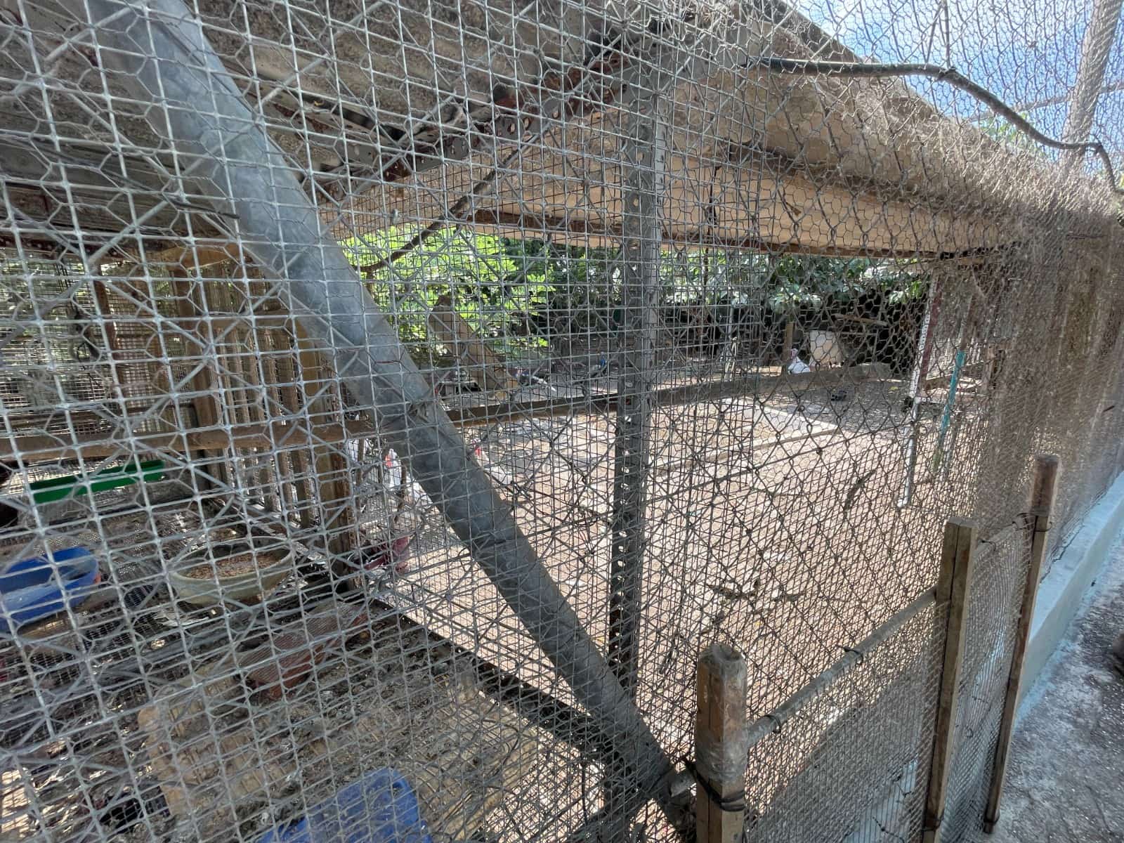 4 bedroom Villa for sale in San Fulgencio with pool - € 549,900 (Ref: 9110793)