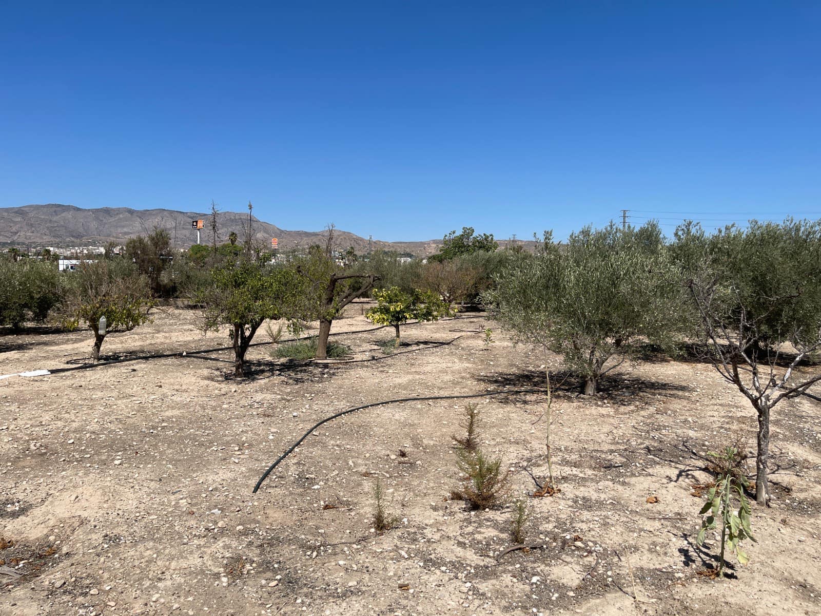 3 Zimmer Villa zu verkaufen in Crevillente / Crevillent - 304.500 € (Ref: 9219194)