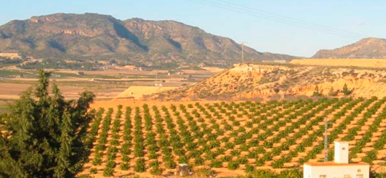 Finca/Landehus til salg i Torre-Pacheco - € 1.290.000 (Ref: 9245457)