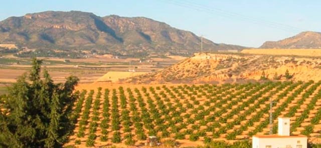 Finca/Landehus til salg i Torre-Pacheco - € 1.290.000 (Ref: 9245457)