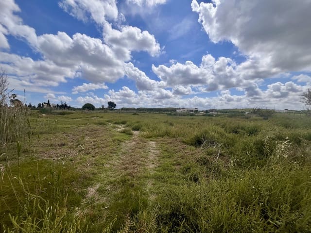 Building Plot for sale in Catral - € 97,000 (Ref: 9245545)