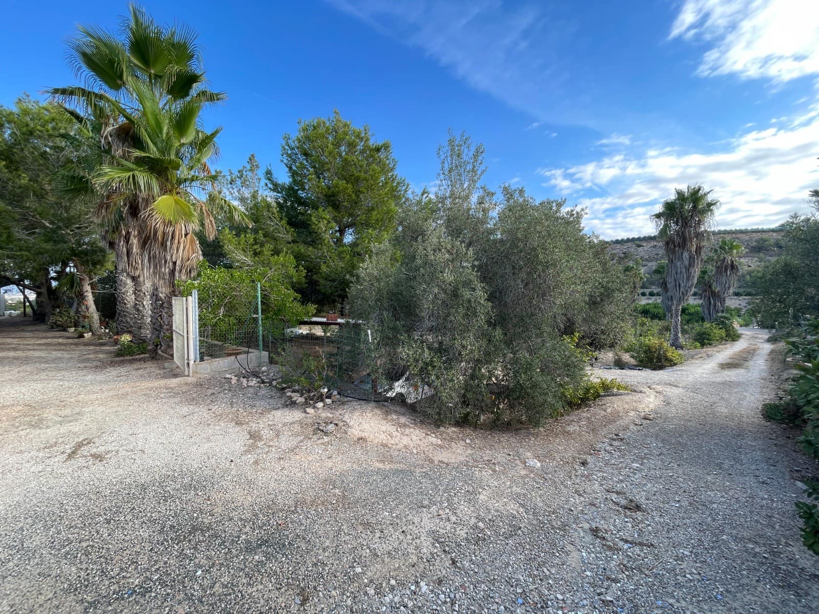 Finca/Country House for sale in Jacarilla - € 147,000 (Ref: 9258184)