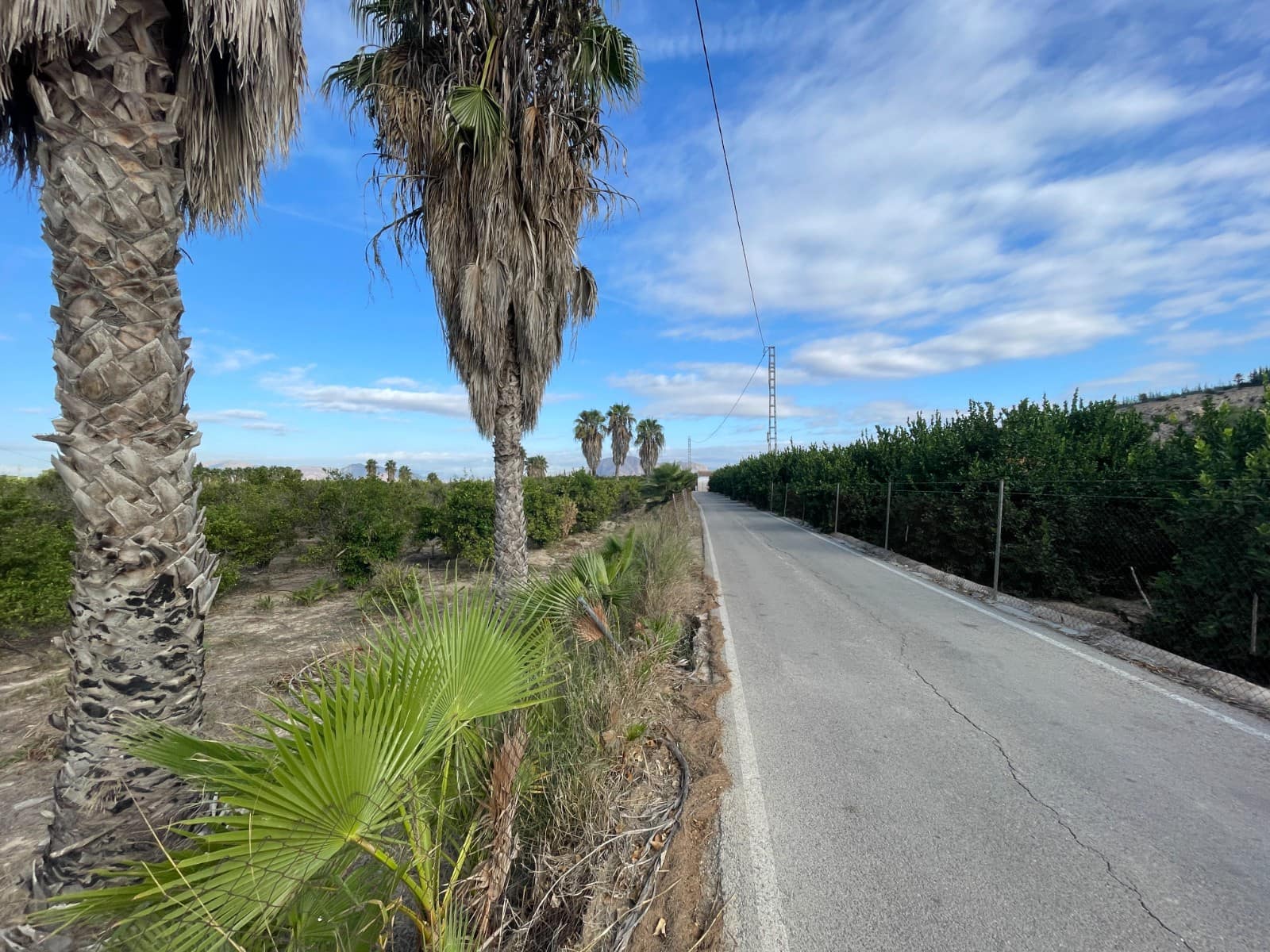 Finca/Country House for sale in Jacarilla - € 147,000 (Ref: 9258184)