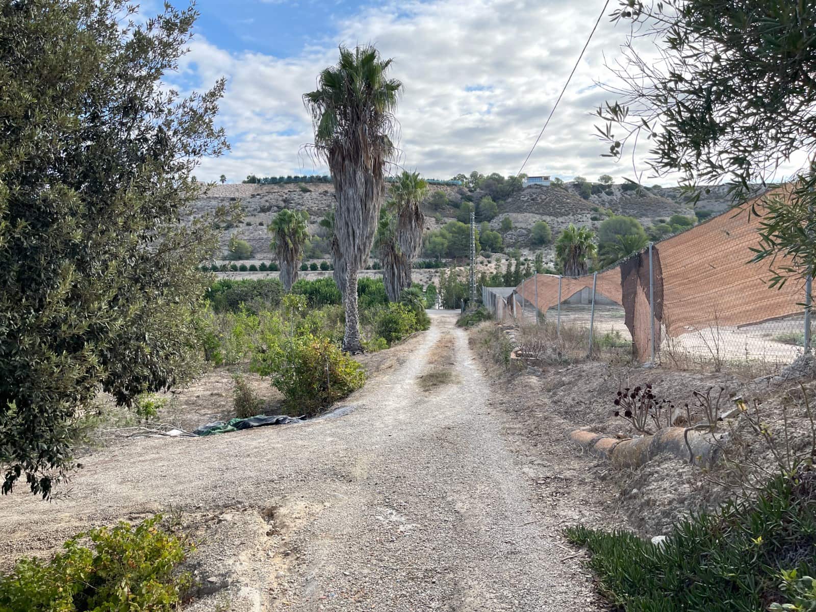 Finca/Country House for sale in Jacarilla - € 147,000 (Ref: 9258184)