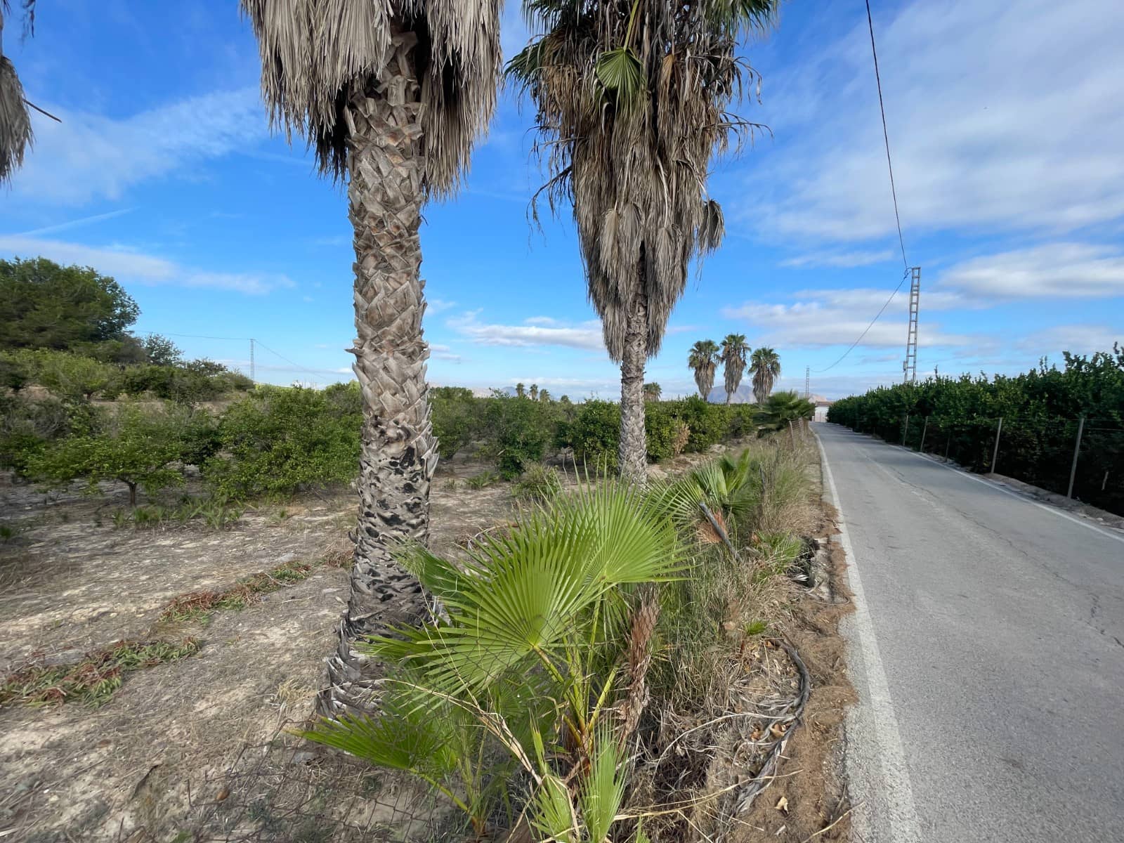 Finca/Country House for sale in Jacarilla - € 147,000 (Ref: 9258184)