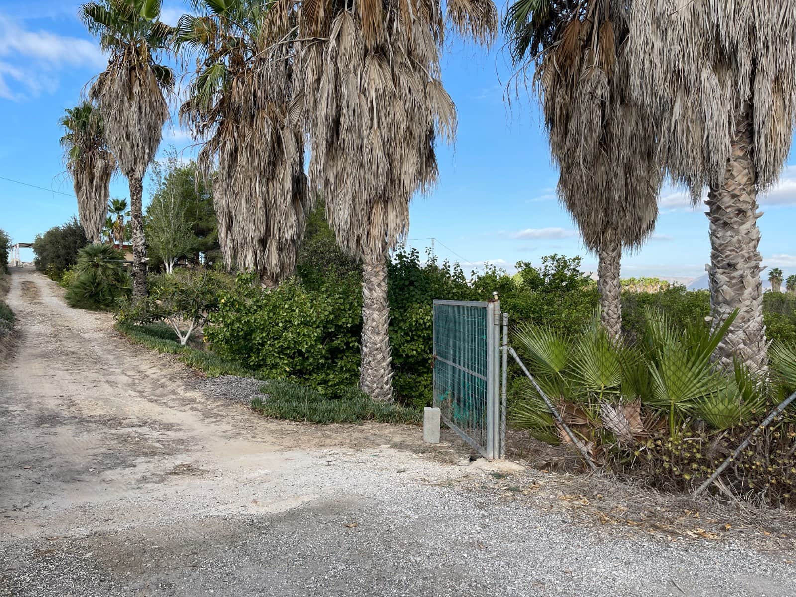 Finca/Country House for sale in Jacarilla - € 147,000 (Ref: 9258184)