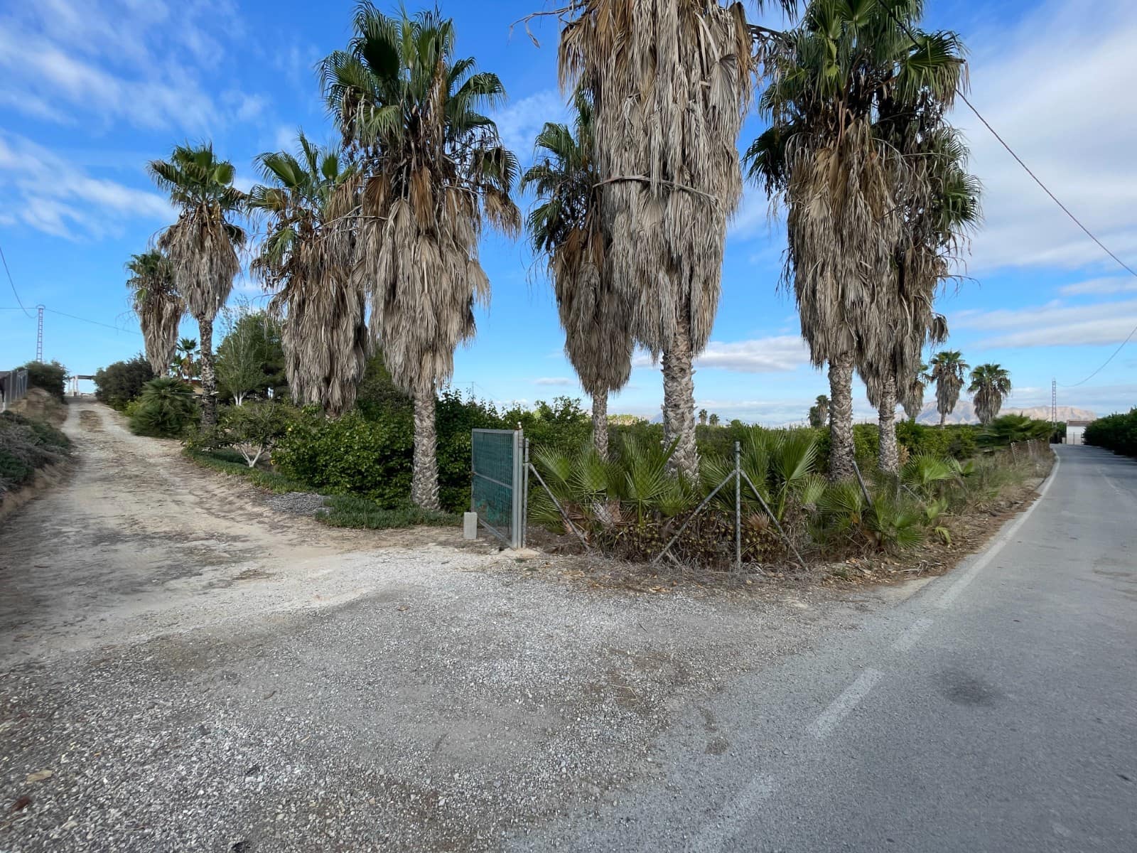 Finca/Country House for sale in Jacarilla - € 147,000 (Ref: 9258184)