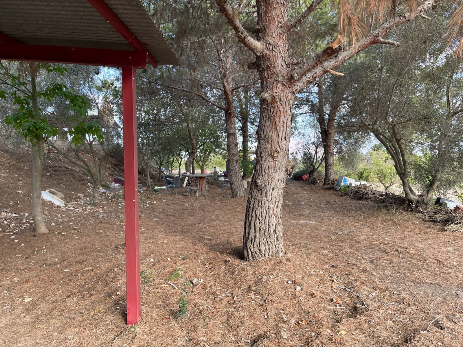 Finca/Country House for sale in Jacarilla - € 147,000 (Ref: 9258184)