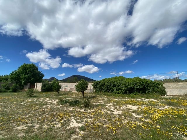 6 bedroom Finca/Country House for sale in Sax with pool - € 275,000 (Ref: 9285592)