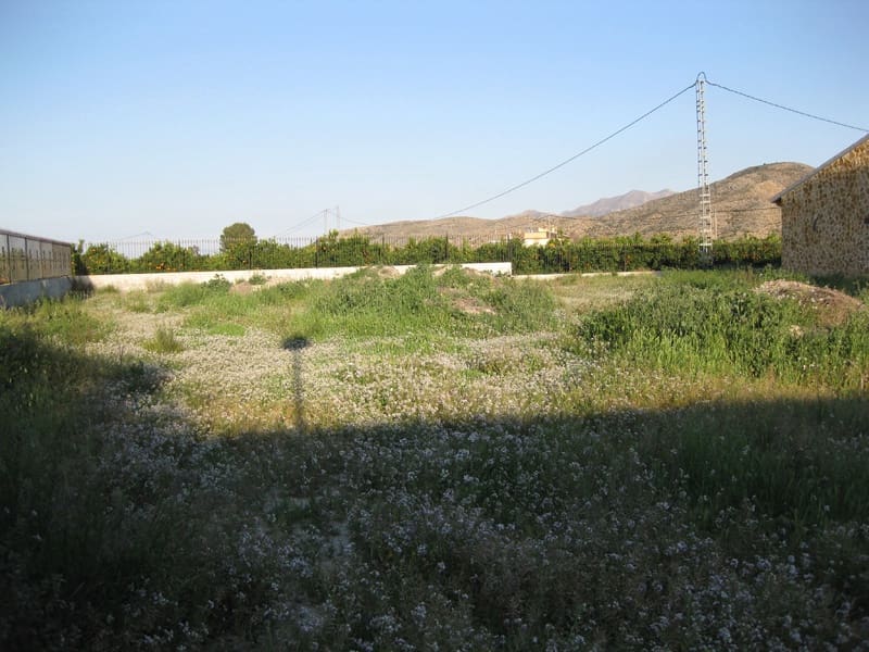 3 bedroom Finca/Country House for sale in Benferri - € 290,000 (Ref: 9325570)