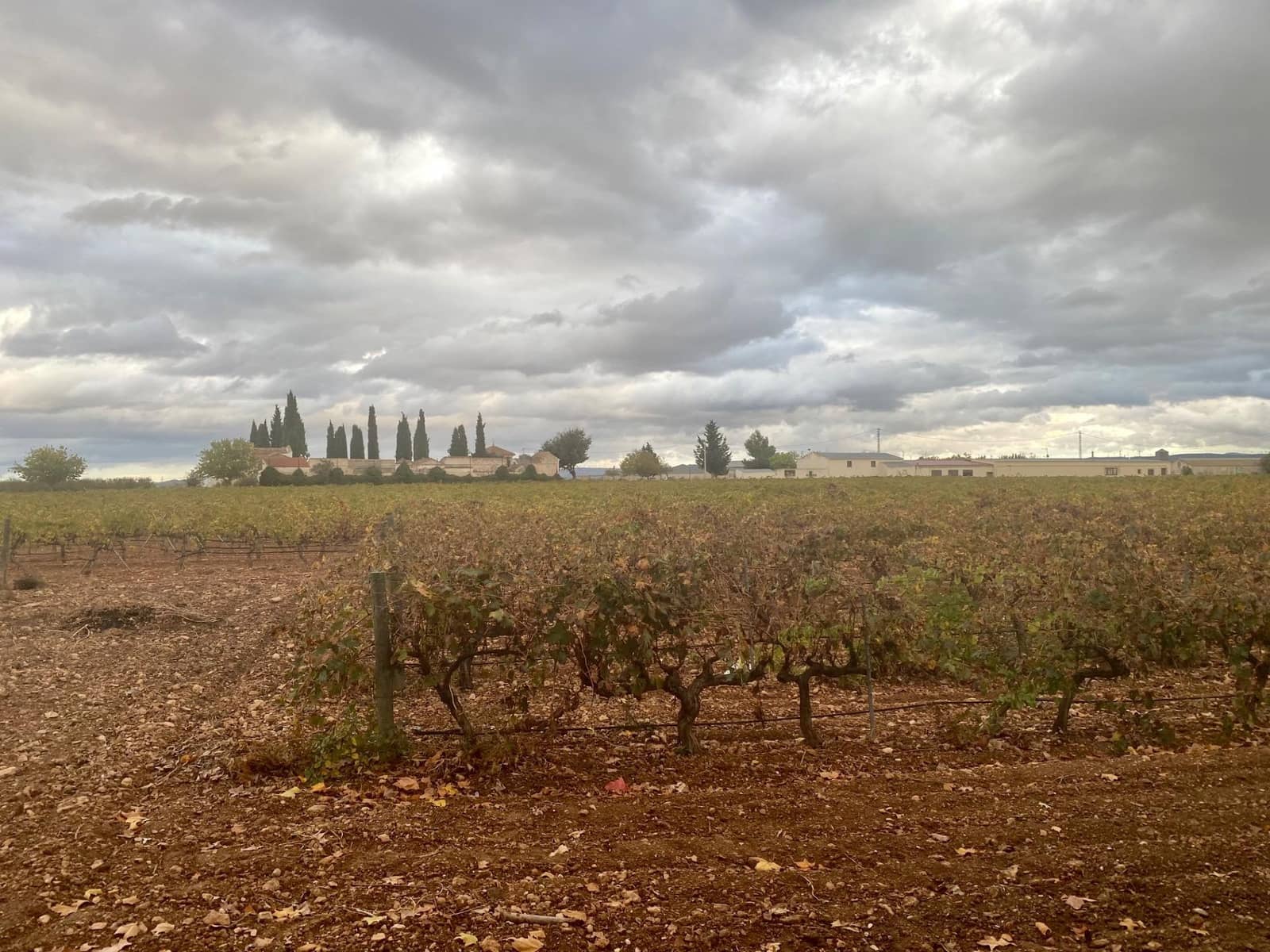 1 slaapkamer Finca/Landhuis te koop in Albacete stad - € 2.500.000 (Ref: 9347040)