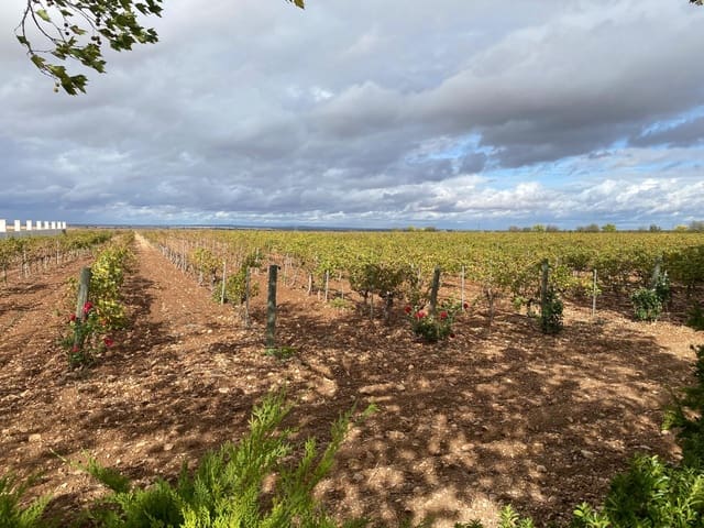 1 slaapkamer Finca/Landhuis te koop in Albacete stad - € 2.500.000 (Ref: 9347040)