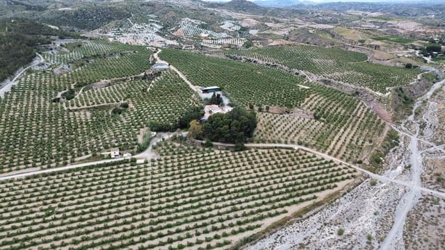 10 slaapkamer Finca/Landhuis te koop in Rincón de Seca, Murcia stad met zwembad garage - € 3.700.000 (Ref: 9347041)