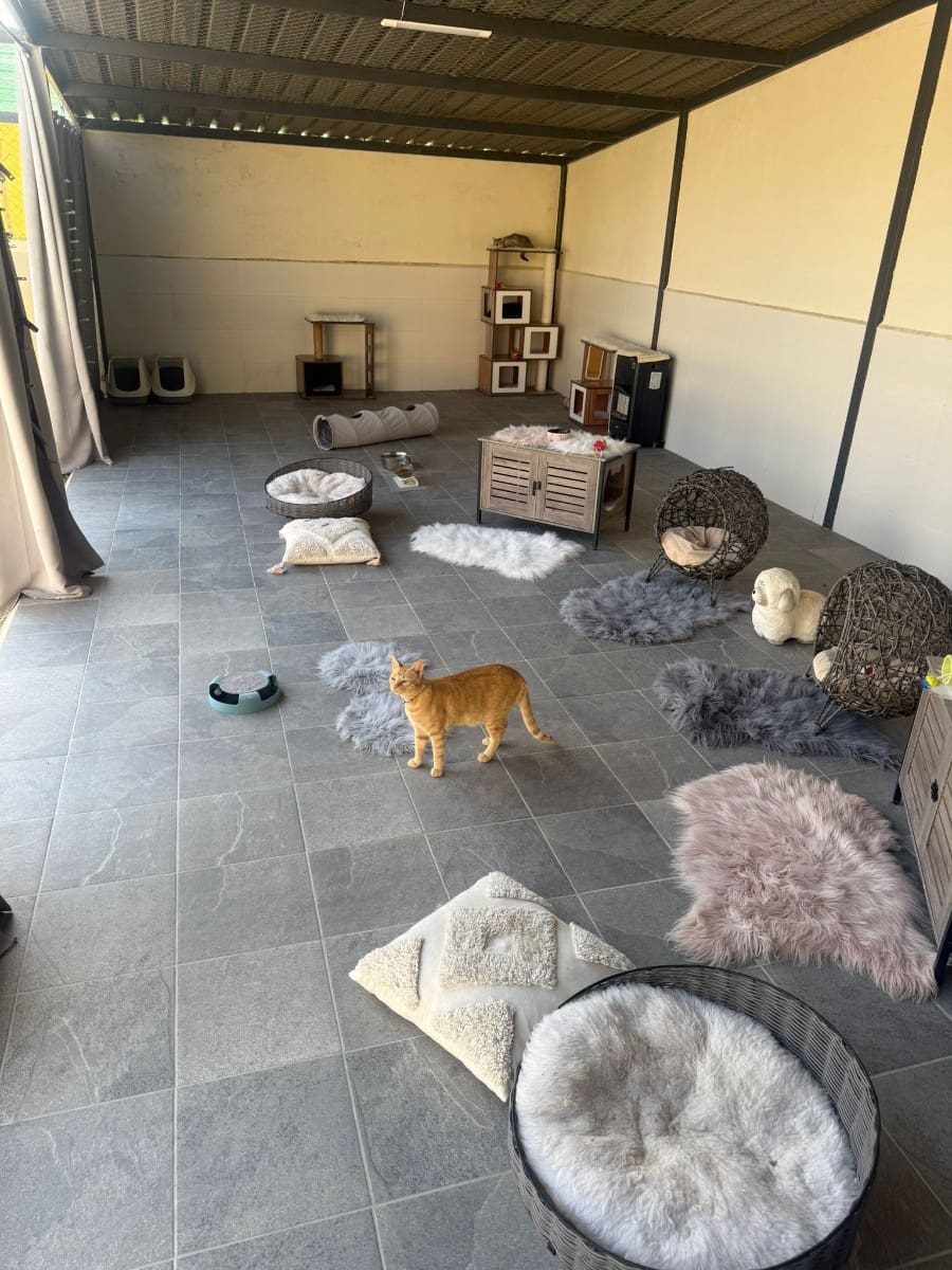 1 bedroom Finca/Country House for sale in Las Bayas - € 254,000 (Ref: 9450001)