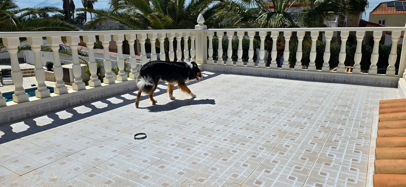 5 bedroom Villa for sale in El Chaparral with pool garage - € 595,000 (Ref: 9463722)