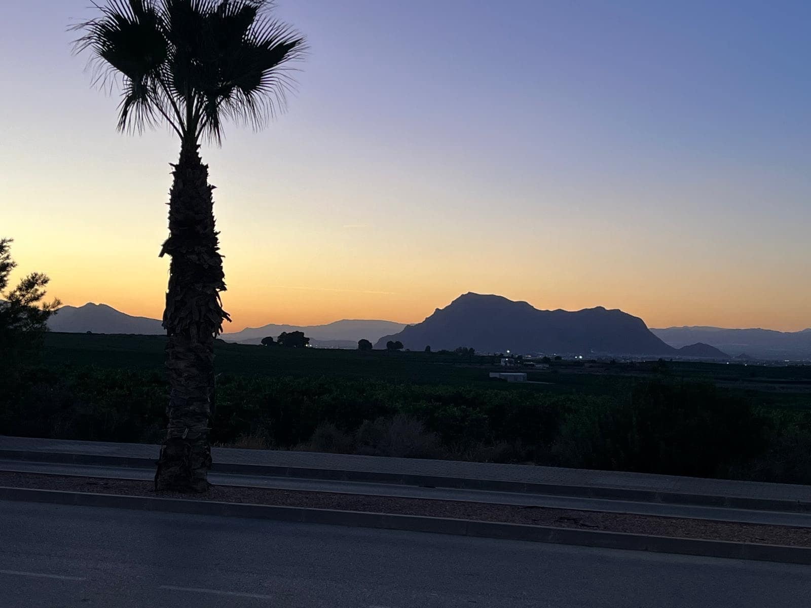 Casa de 2 habitaciones en Algorfa en venta con piscina - 259.990 € (Ref: 9463774)