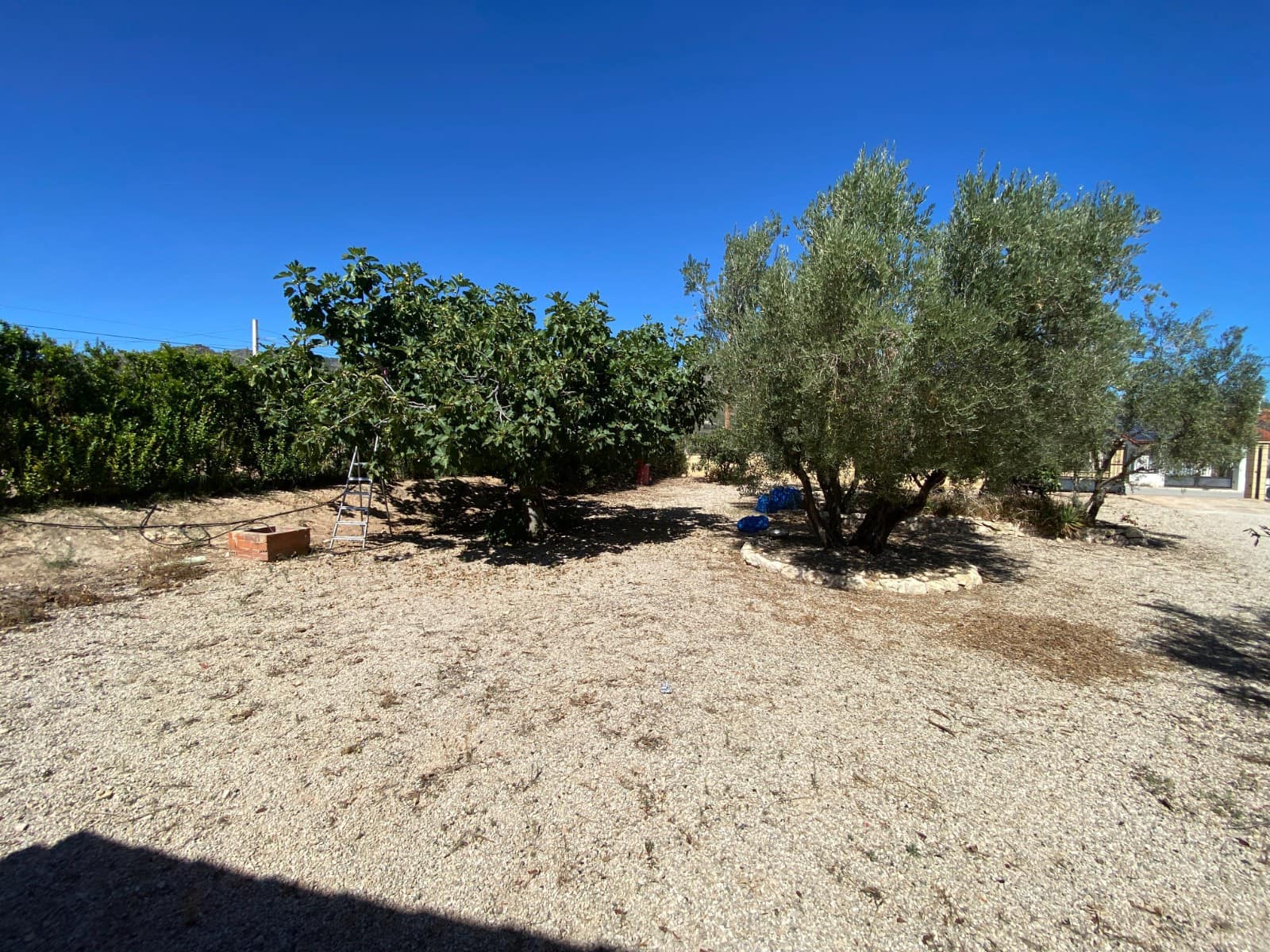 3 bedroom Finca/Country House for sale in Salinas with pool garage - € 249,999 (Ref: 9463777)