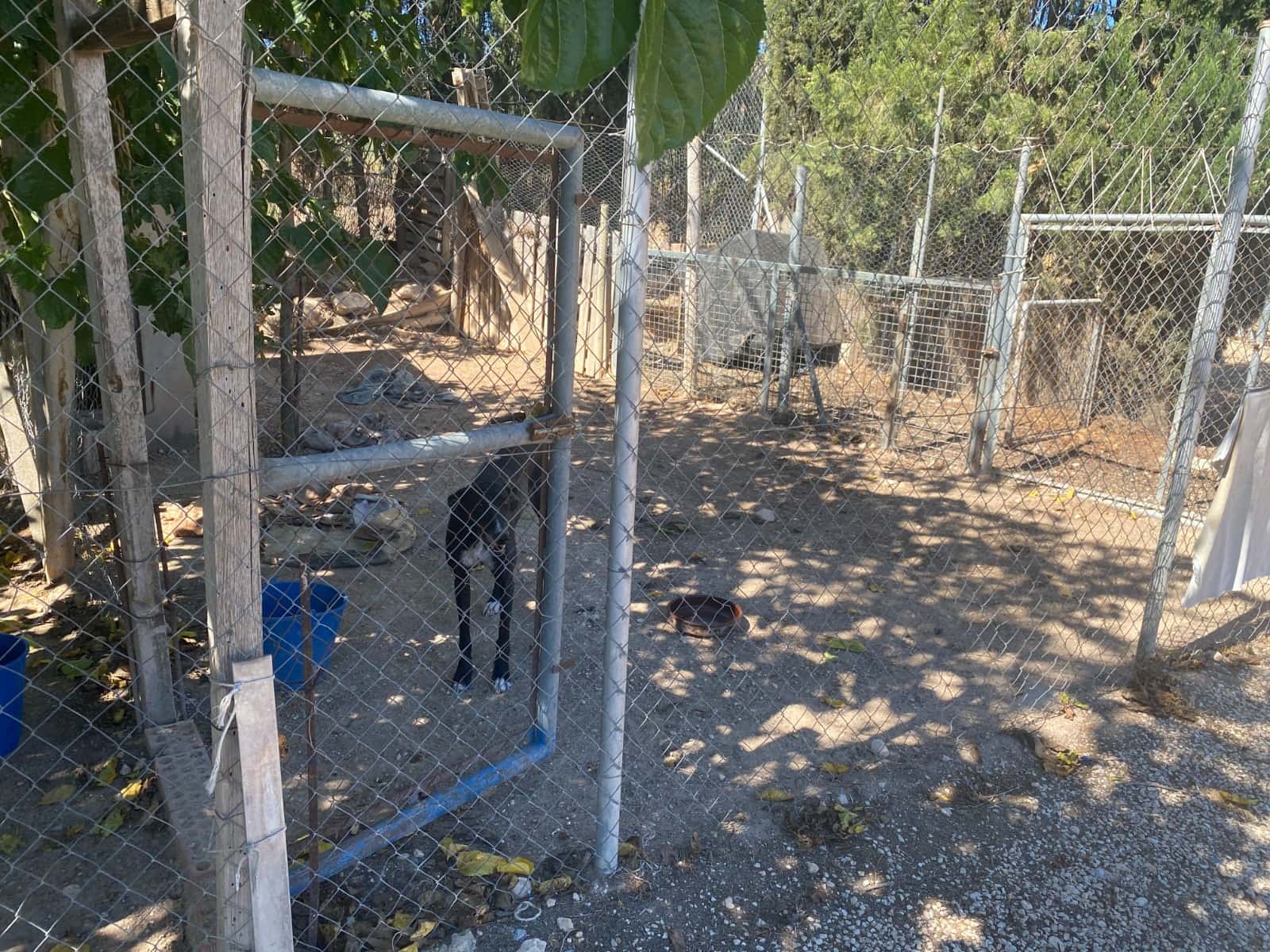 3 bedroom Finca/Country House for sale in Salinas with pool garage - € 249,999 (Ref: 9463777)