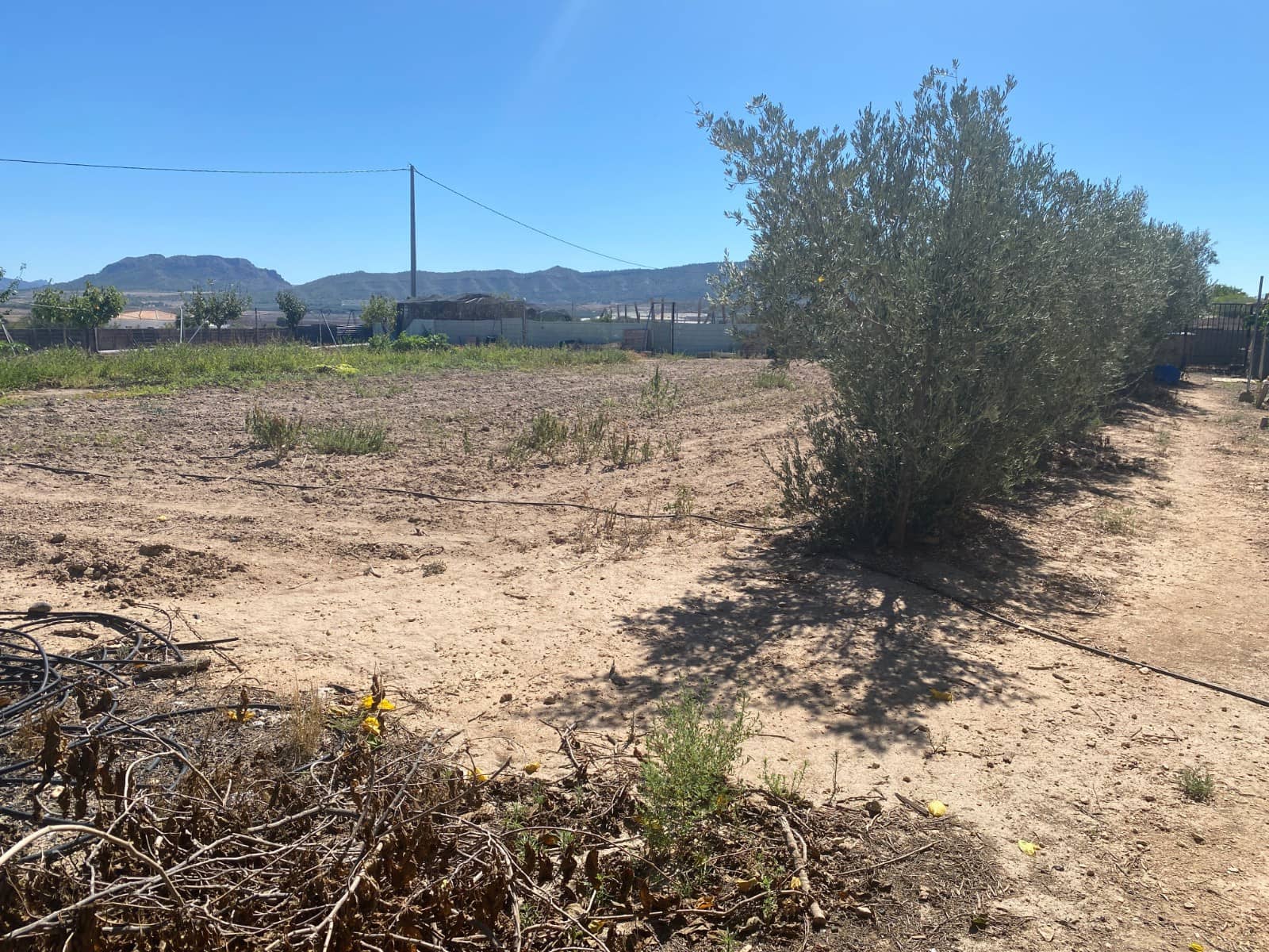 3 bedroom Finca/Country House for sale in Salinas with pool garage - € 249,999 (Ref: 9463777)