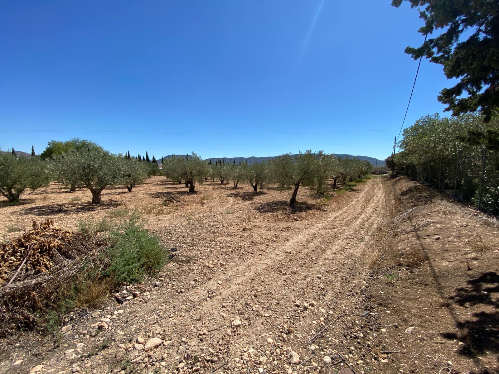 3 bedroom Finca/Country House for sale in Salinas with pool garage - € 249,999 (Ref: 9463777)