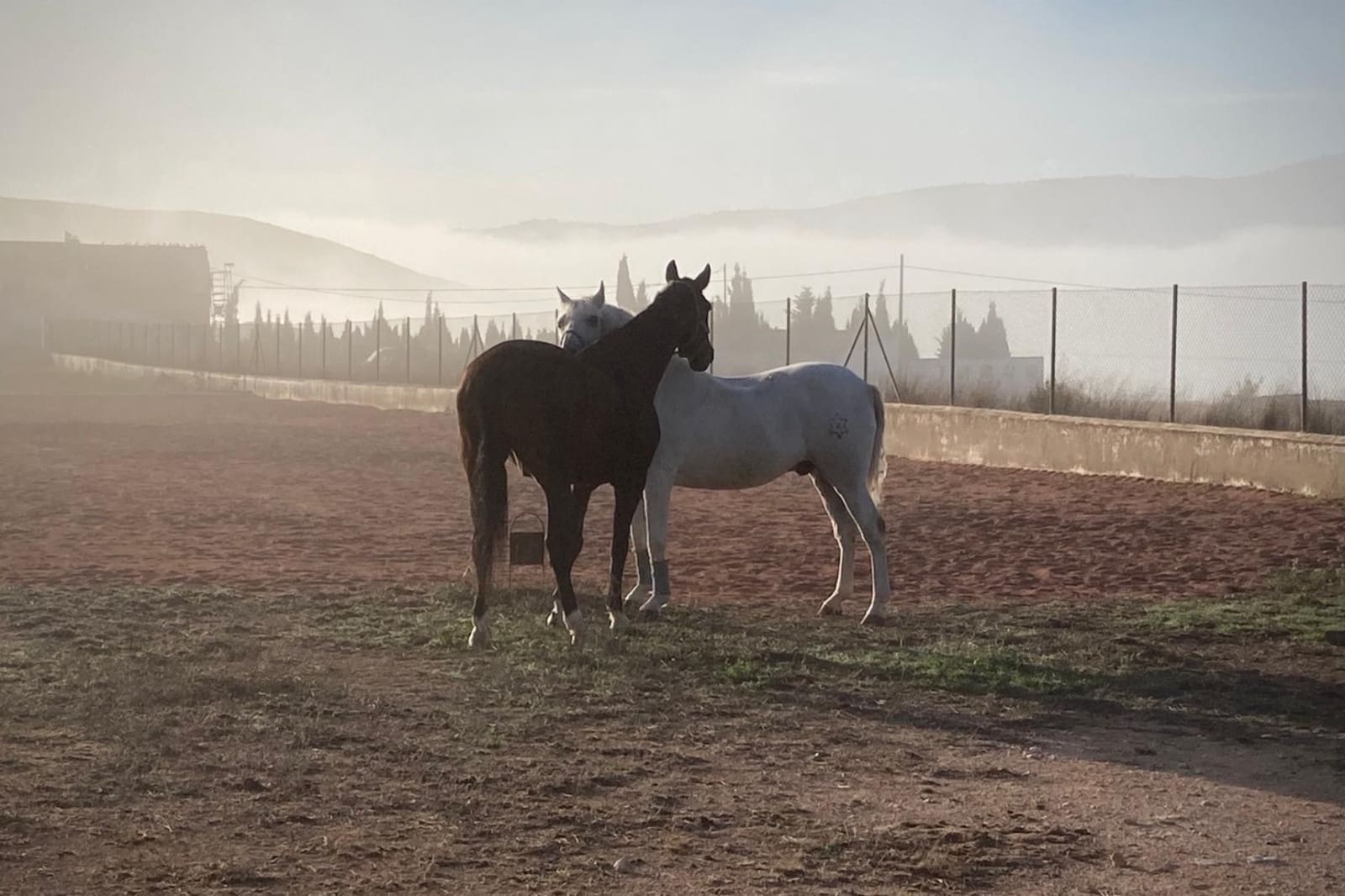 3 bedroom Finca/Country House for sale in Torre del Rico - € 510,000 (Ref: 9463827)