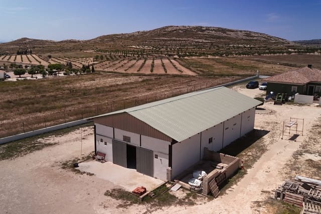 3 bedroom Finca/Country House for sale in Torre del Rico, Jumilla - € 510,000 (Ref: 9463827)