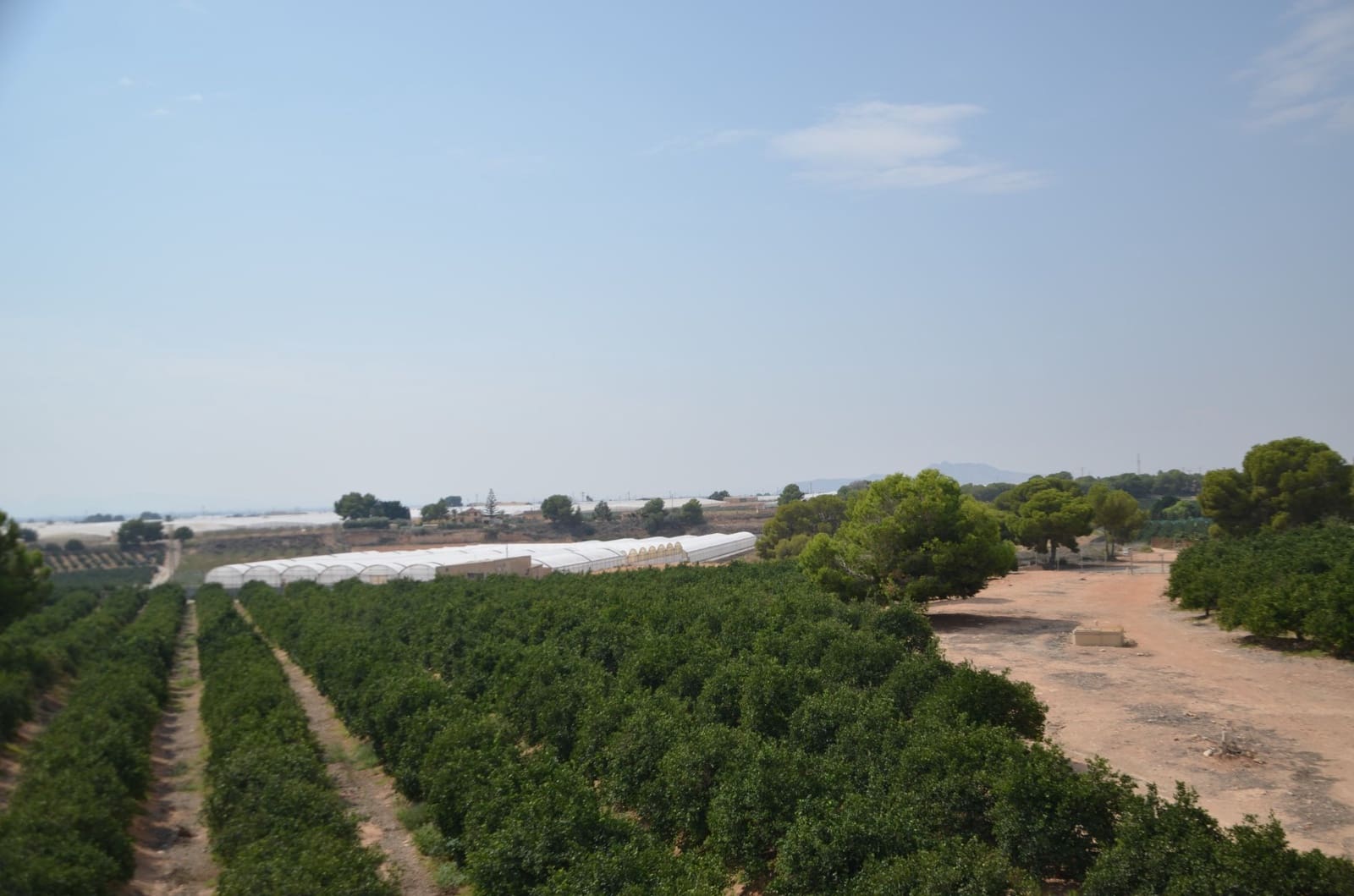 3 Zimmer Villa zu verkaufen in Pilar de la Horadada mit Pool - 499.000 € (Ref: 9463887)