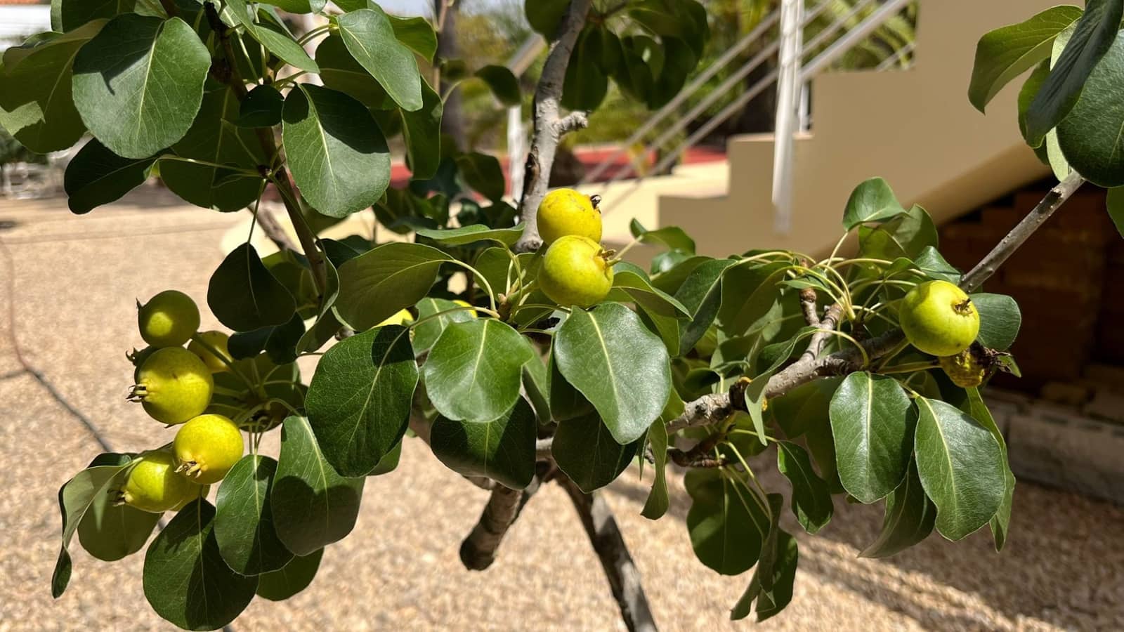 7 bedroom Villa for sale in Benidorm with pool garage - € 1,595,000 (Ref: 9463903)