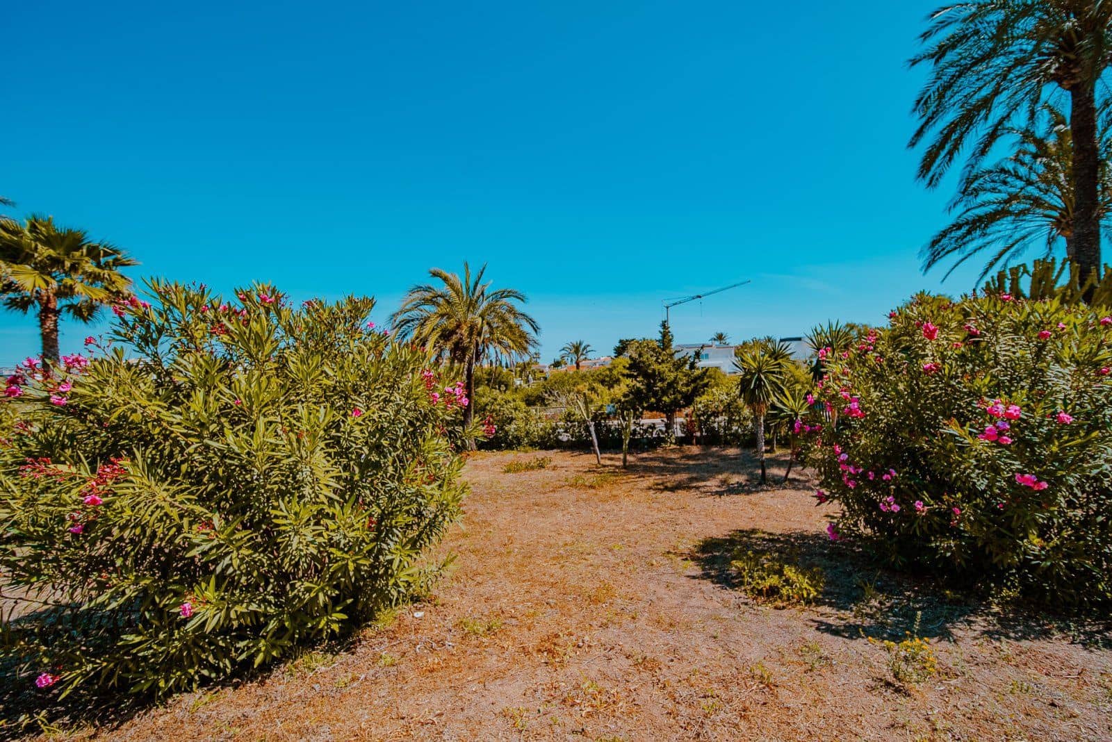 4 slaapkamer Villa te koop in Playa Flamenca met garage - € 995.000 (Ref: 9463974)